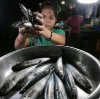 Seafood Buyers